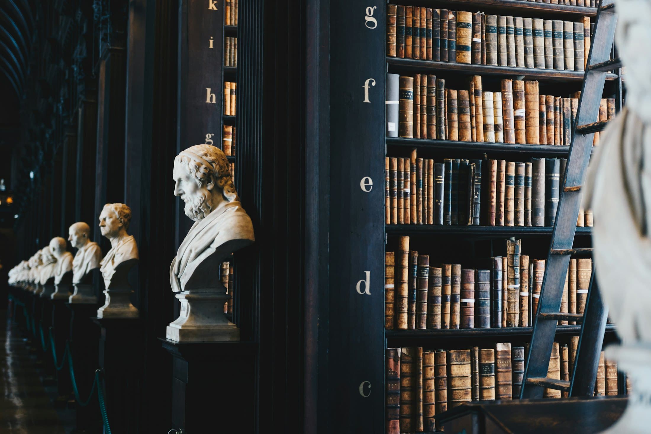 Alte Bibliothek mit Büsten und Lederbänden