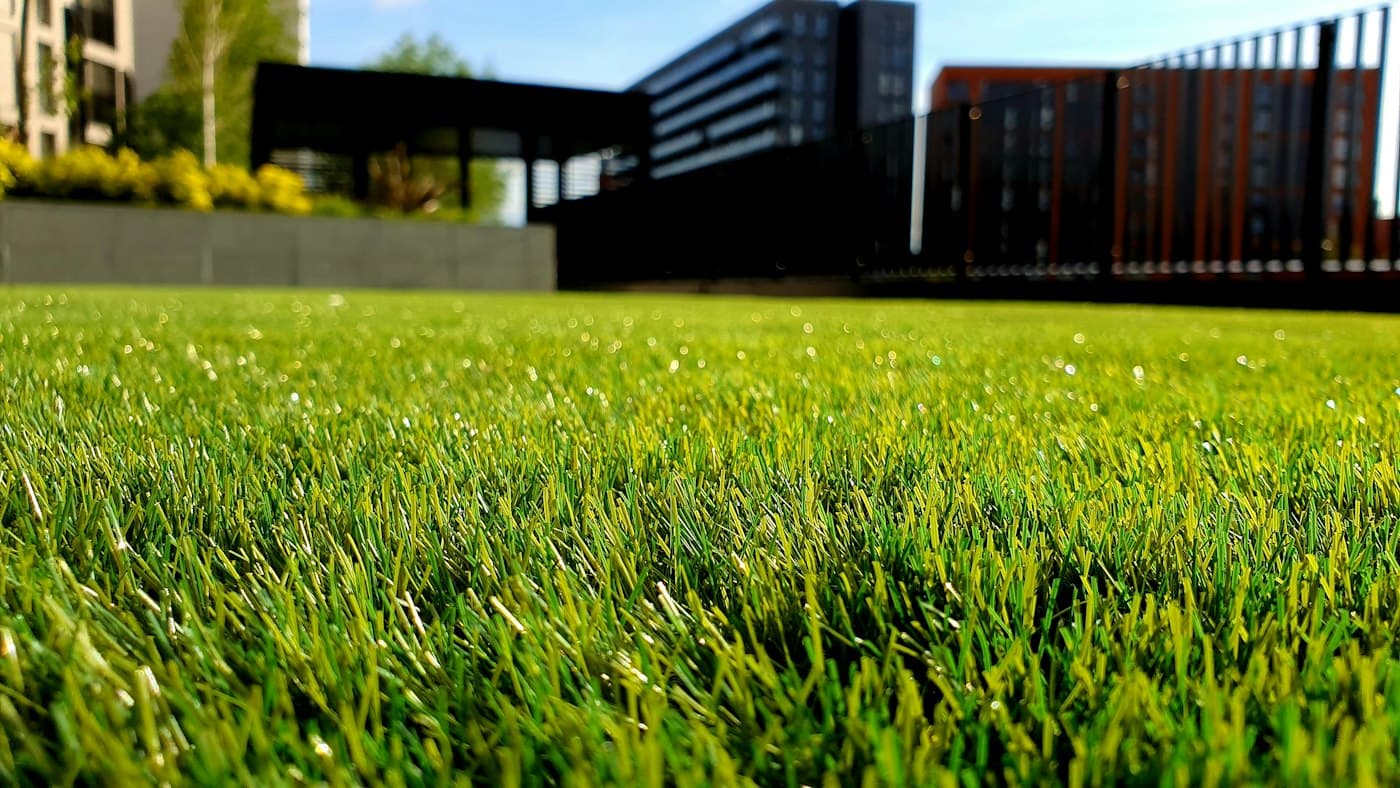 Garten im Sommer